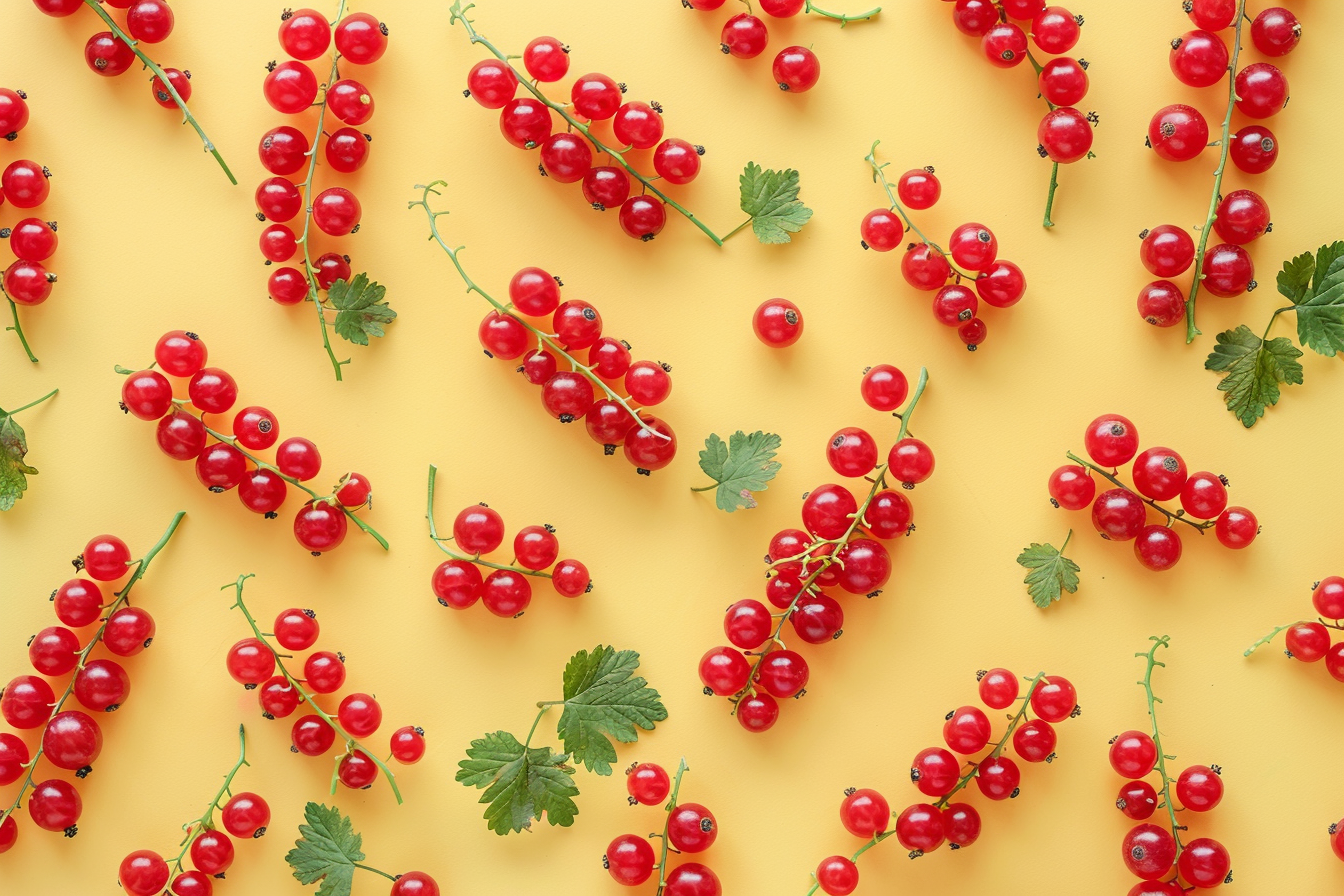 Image gratuite Grappe de groseilles sur fond pastel 1