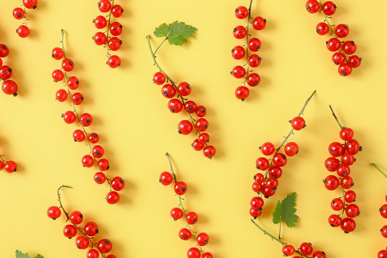 Image gratuite Grappe de groseilles sur fond pastel 5