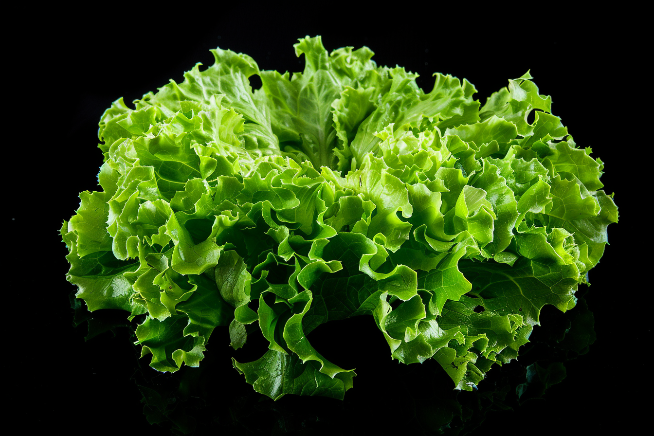 Image gratuite Laitue sur fond noir 1