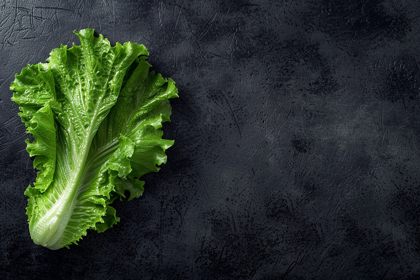 Image gratuite Laitue sur fond noir 2