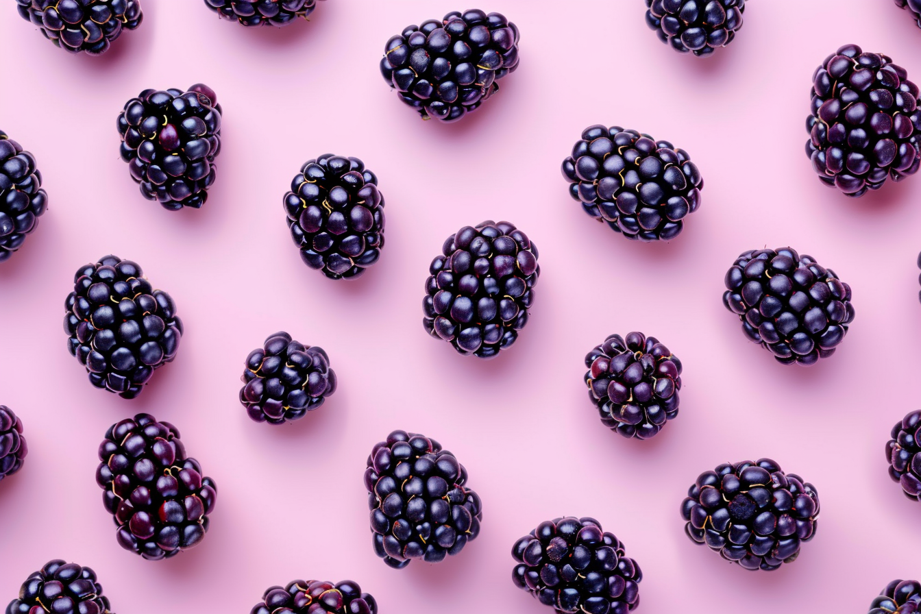 Image gratuite Mûres sur fond pastel 1