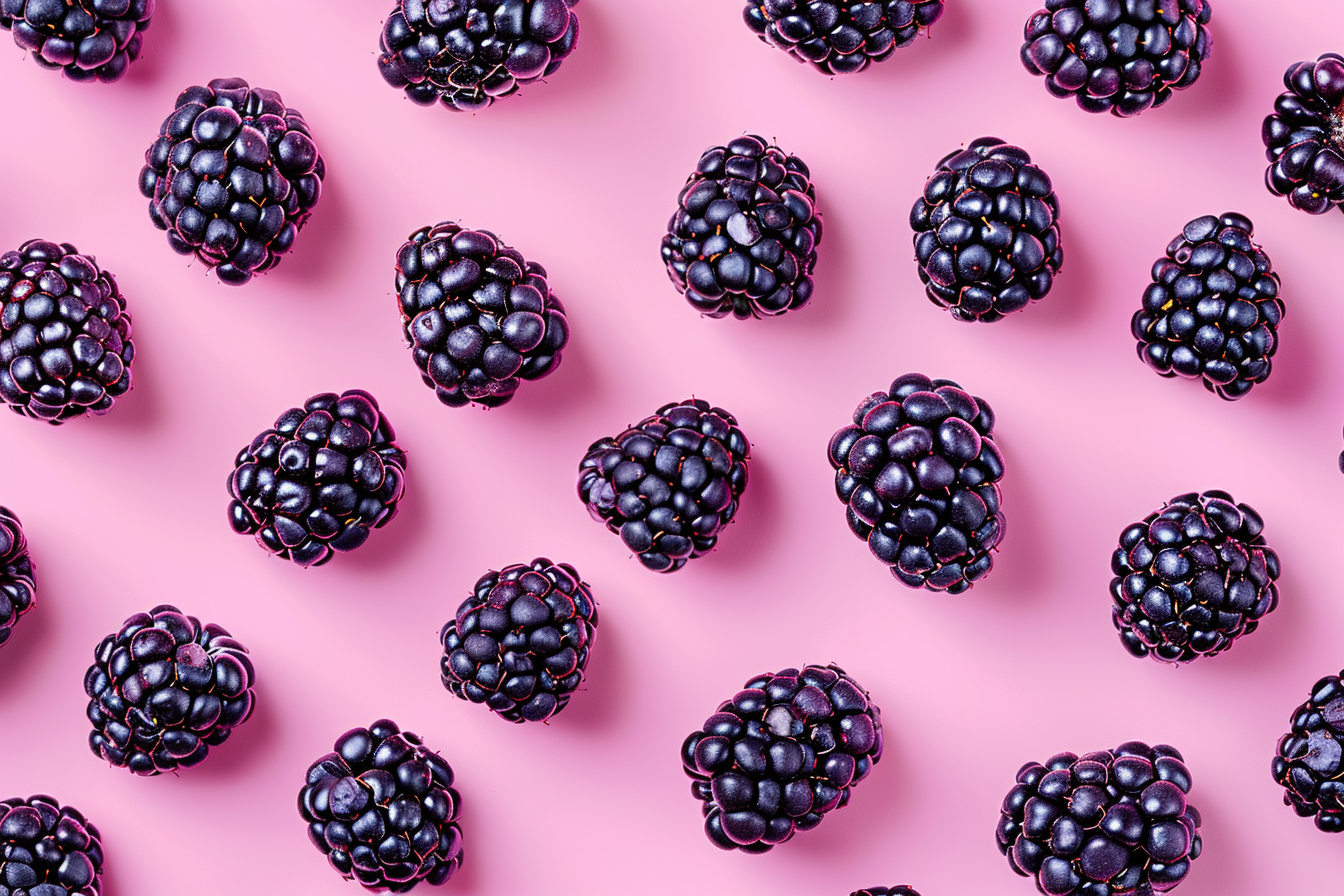 Image gratuite Mûres sur fond pastel 2