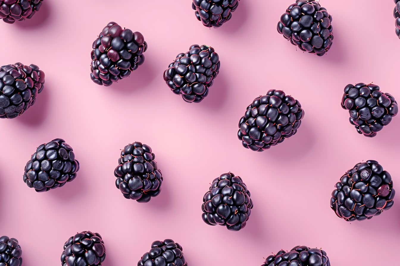 Image gratuite Mûres sur fond pastel 3