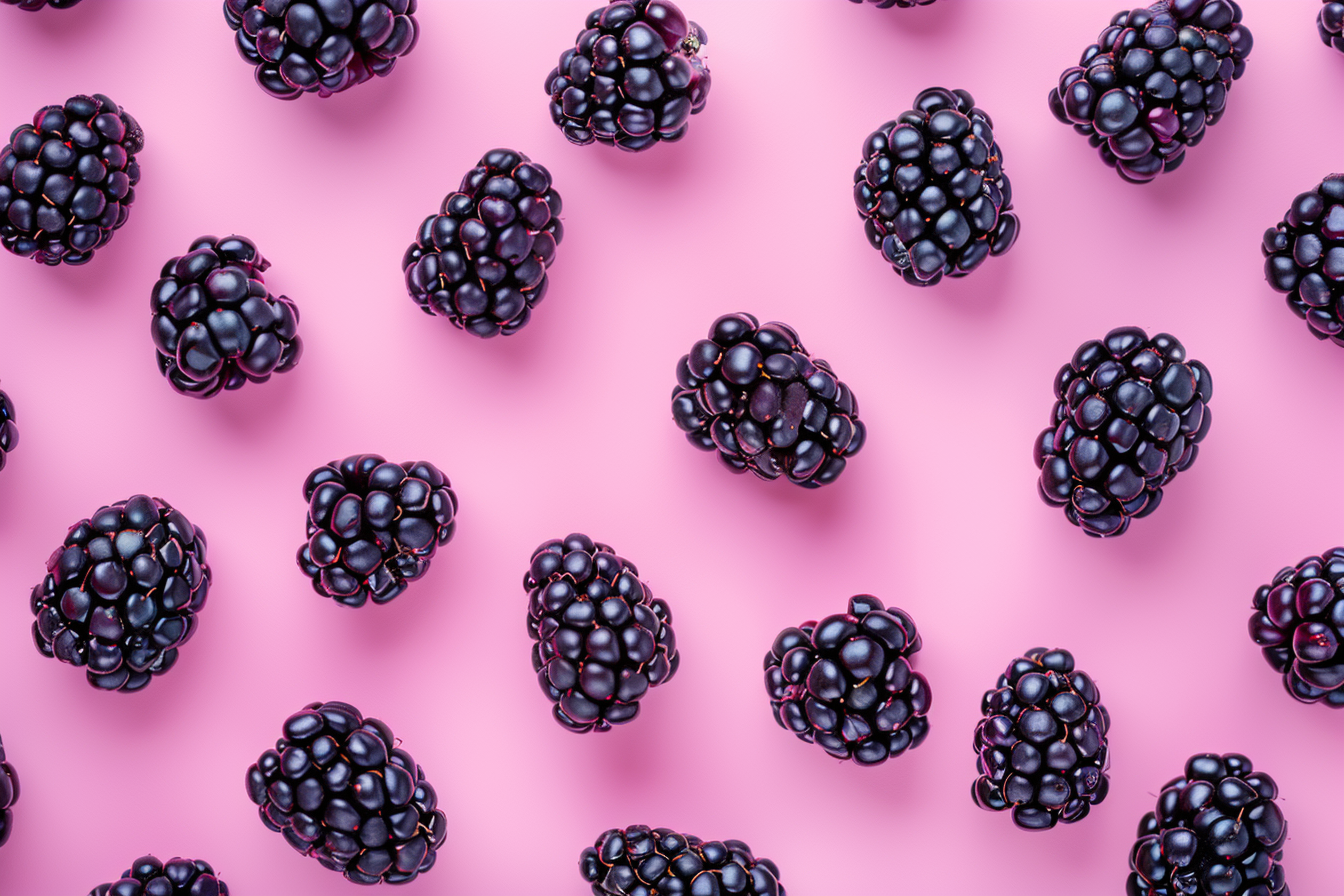 Image gratuite Mûres sur fond pastel 4