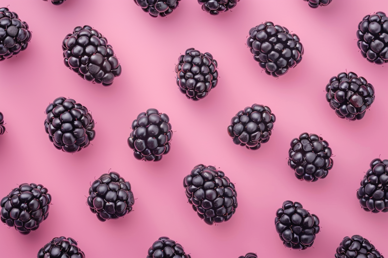 Image gratuite Mûres sur fond pastel 5