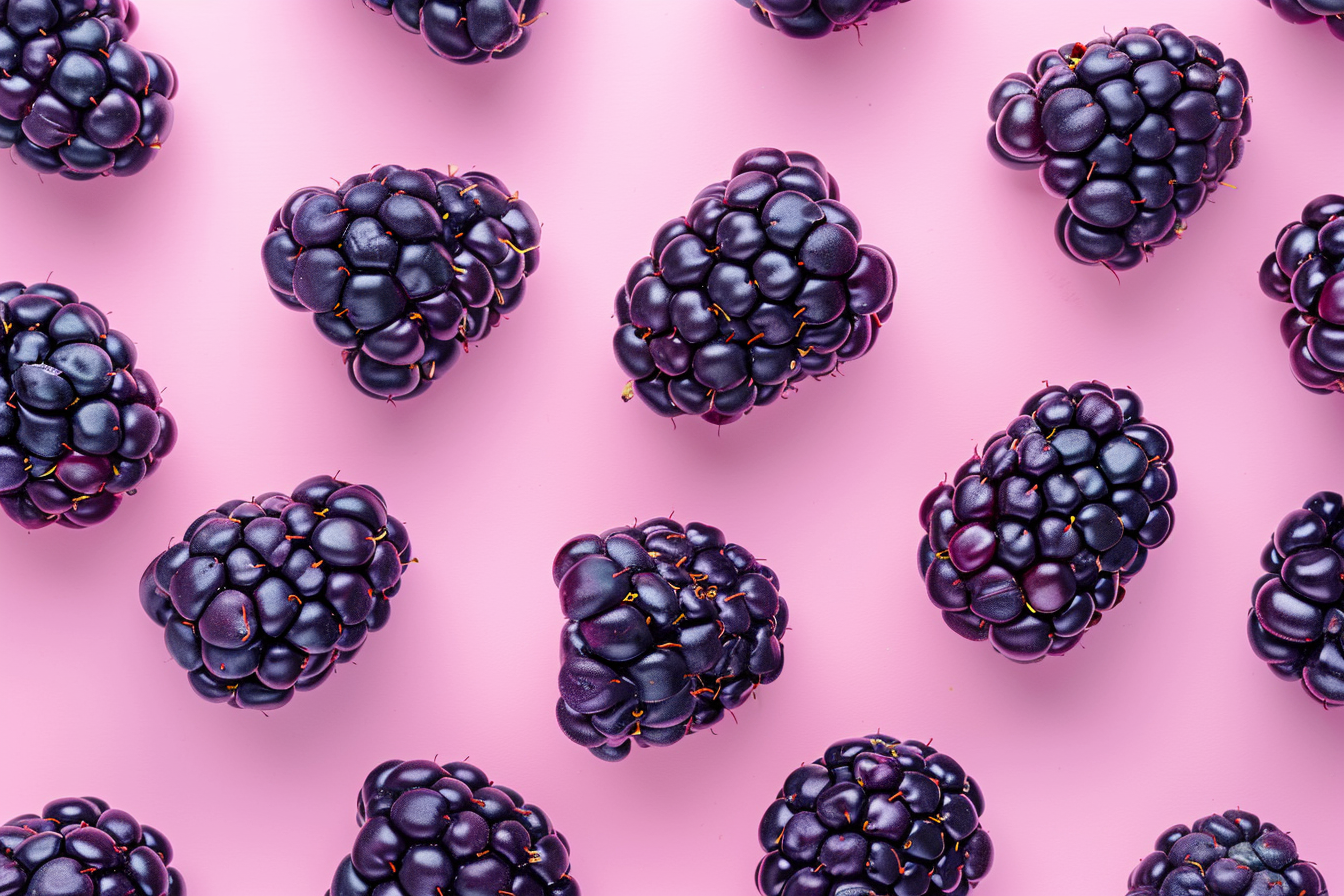 Image gratuite Mûres sur fond pastel 6