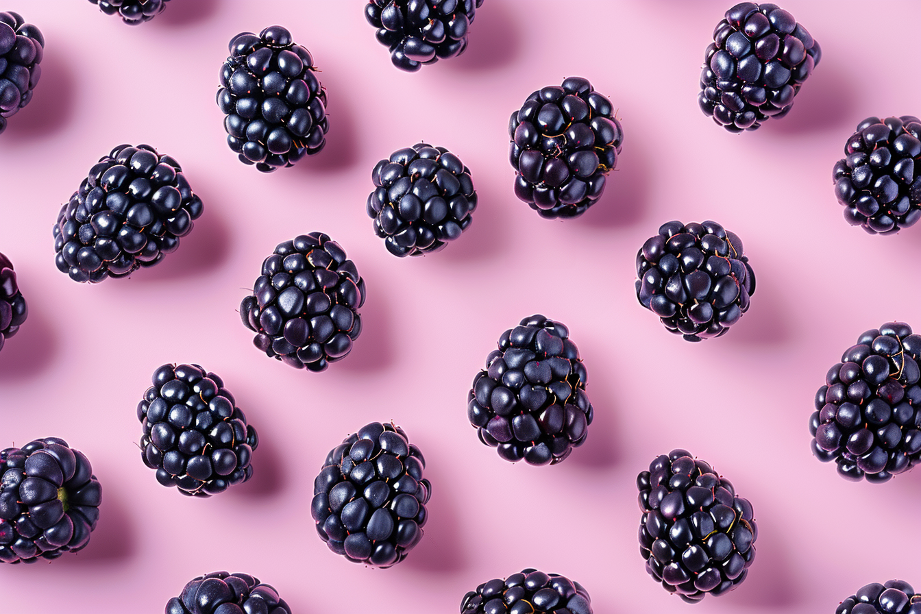 Image gratuite Mûres sur fond pastel 7