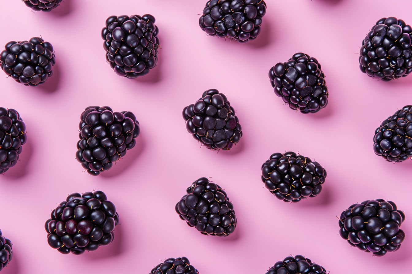 Image gratuite Mûres sur fond pastel 8