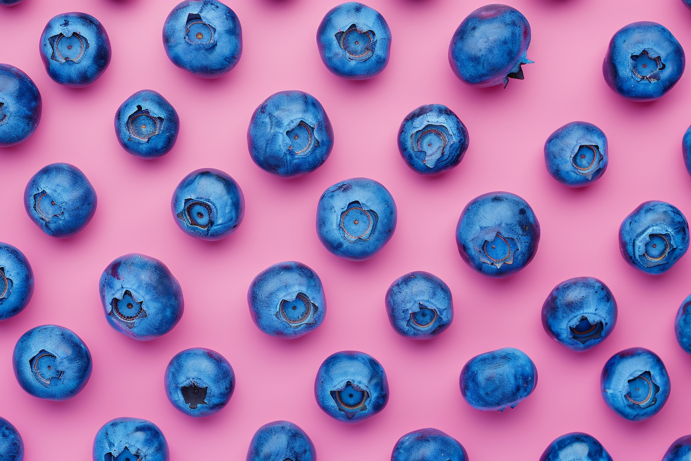 Image gratuite Myrtilles sur fond pastel 3
