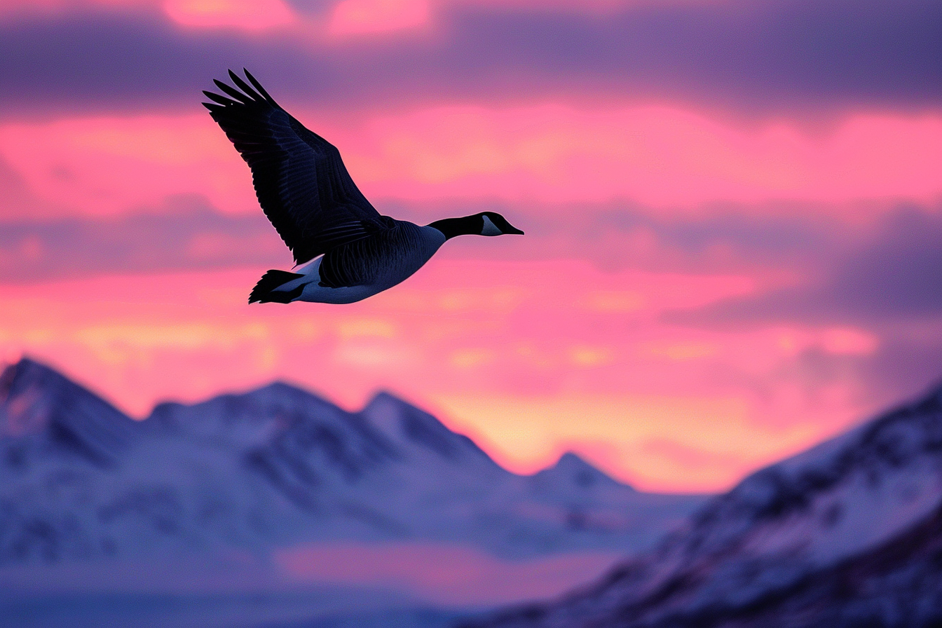 Image gratuite Oie sauvage survolant les montagnes 1
