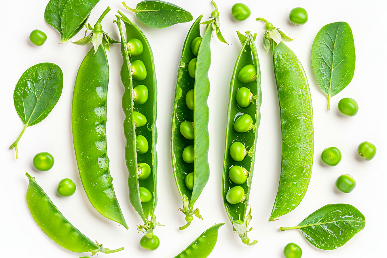 Image gratuite Petits pois sur fond blanc 1