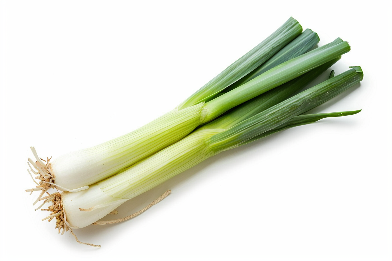 Image gratuite Poireau sur fond blanc 1