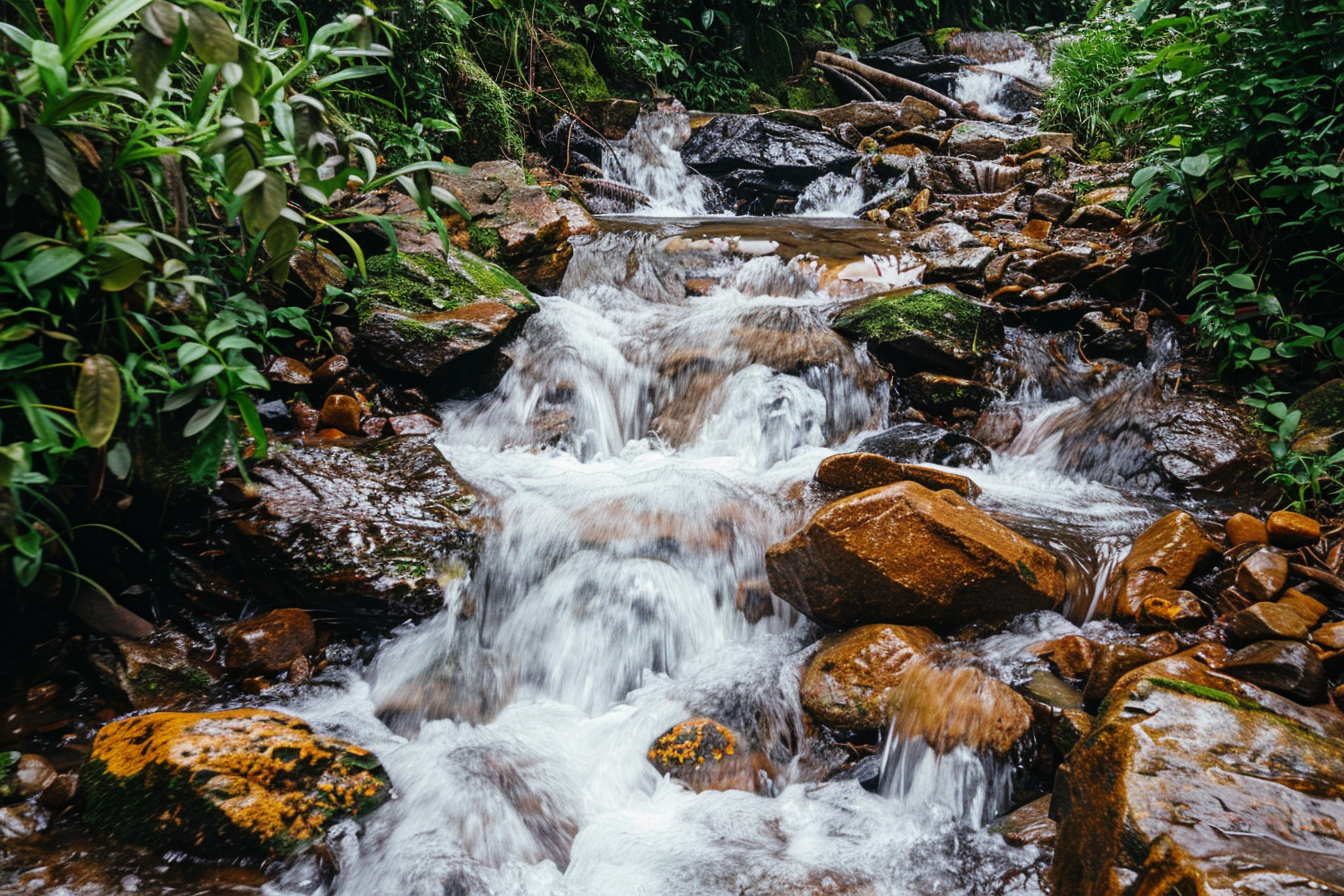 Image gratuite Ruisseau de montagne cristallin 1